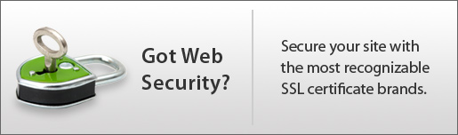 Got Web Security?